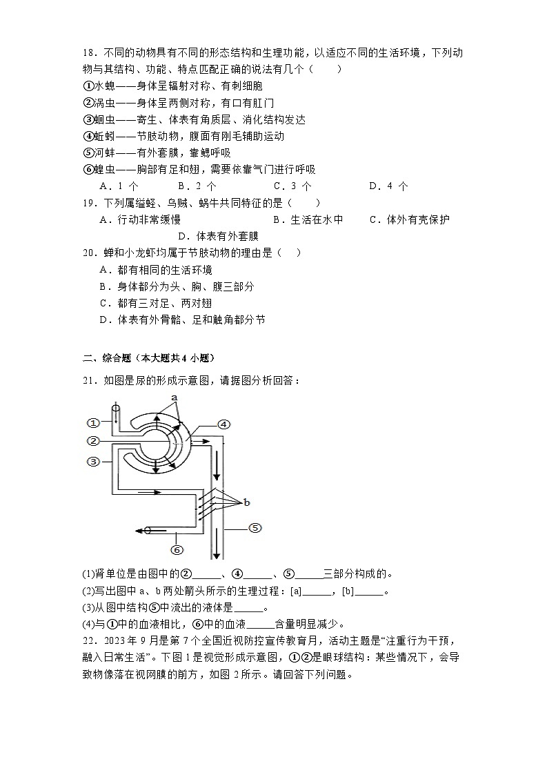 黑龙江省大庆市肇源县联盟学校2024-2025学年七年级上学期期中 生物试题第3页