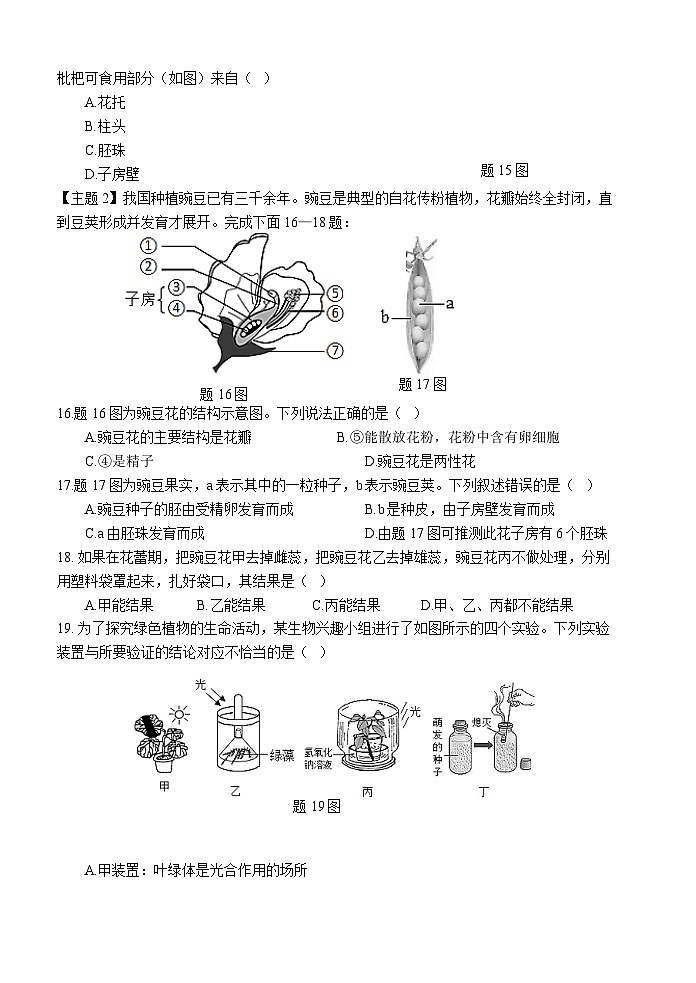 广东省汕头市龙湖区龙湖实验中学2024-2025学年七年级下学期5月期中考试 生物试题第3页
