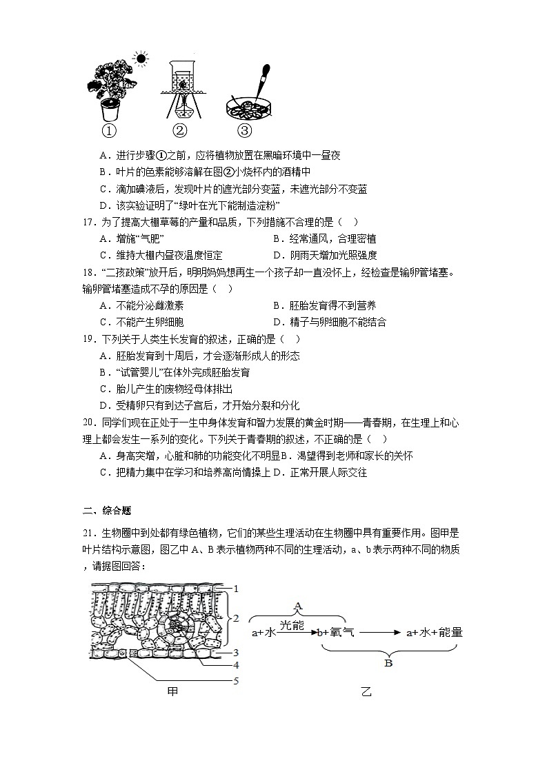 江西省鹰潭市余江区2024-2025学年七年级下学期期中 生物试题（含解析）第3页