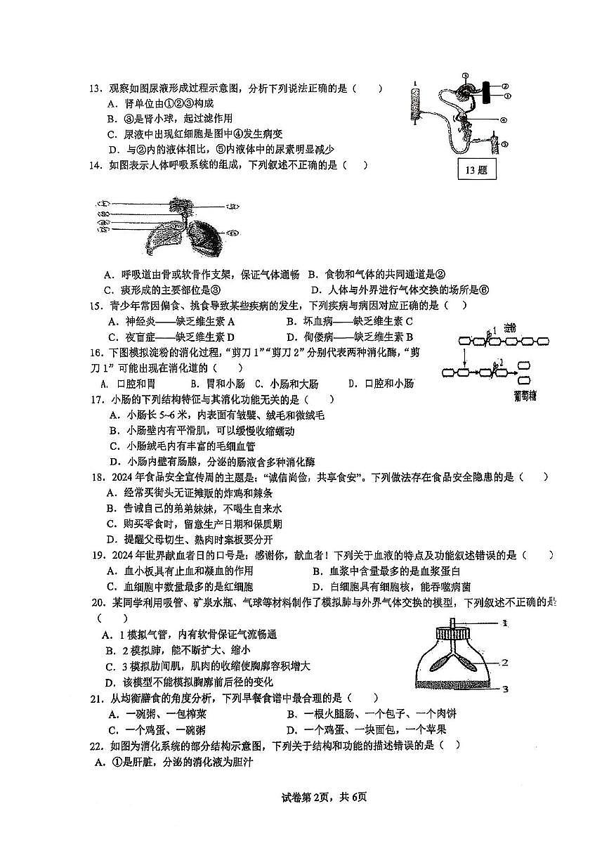 海南省省直辖县级行政单位乐东黎族自治县四校联考2024-2025学年七年级下学期4月期中 生物试题第2页