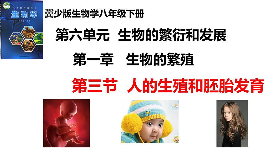2025年春冀少版生物八年级下册上课课件 6.1.3 人的生殖和胚胎发育第1页