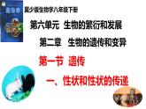 2025年春冀少版生物八年級下冊上課課件 6.2.1 遺傳（一、性狀和性狀的傳遞）