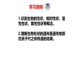 2025年春冀少版生物八年級下冊上課課件 6.2.1 遺傳（一、性狀和性狀的傳遞）