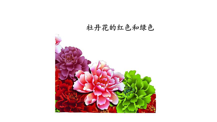 2025年春冀少版生物八年级下册上课课件 6.2.1 遗传（一、性状和性状的传递）第7页
