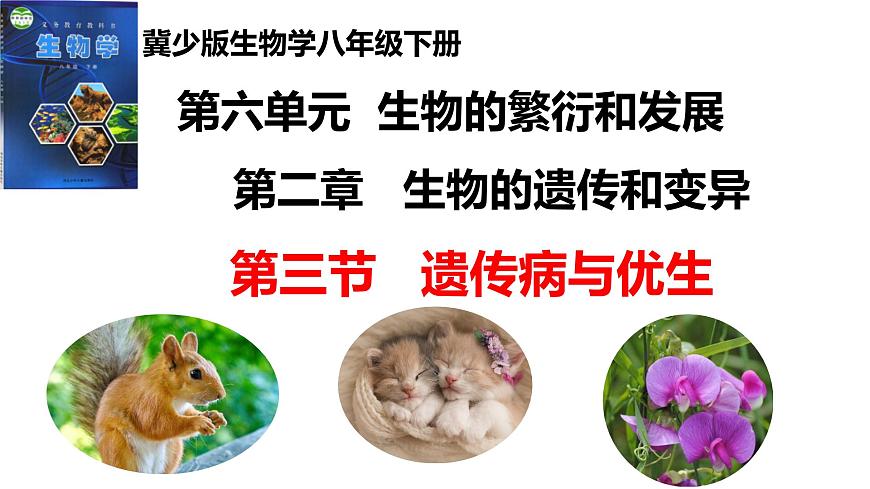 2025年春冀少版生物八年级下册上课课件 6.2.3 遗传病与优生第1页