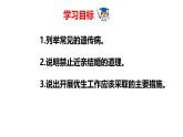 2025年春冀少版生物八年級下冊上課課件 6.2.3 遺傳病與優(yōu)生