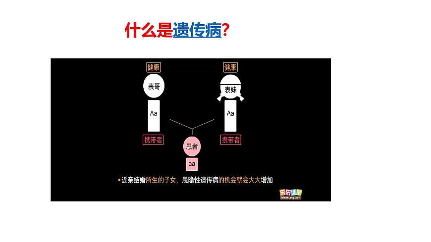 2025年春冀少版生物八年级下册上课课件 6.2.3 遗传病与优生第6页