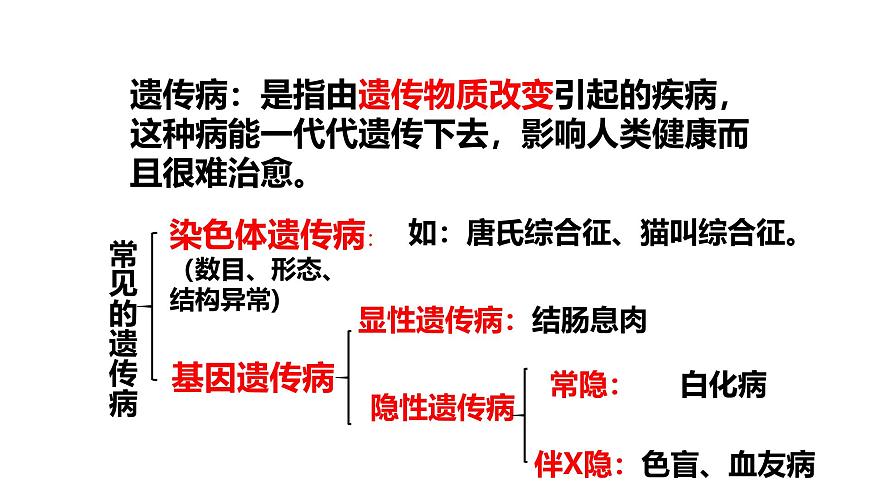 2025年春冀少版生物八年级下册上课课件 6.2.3 遗传病与优生第7页