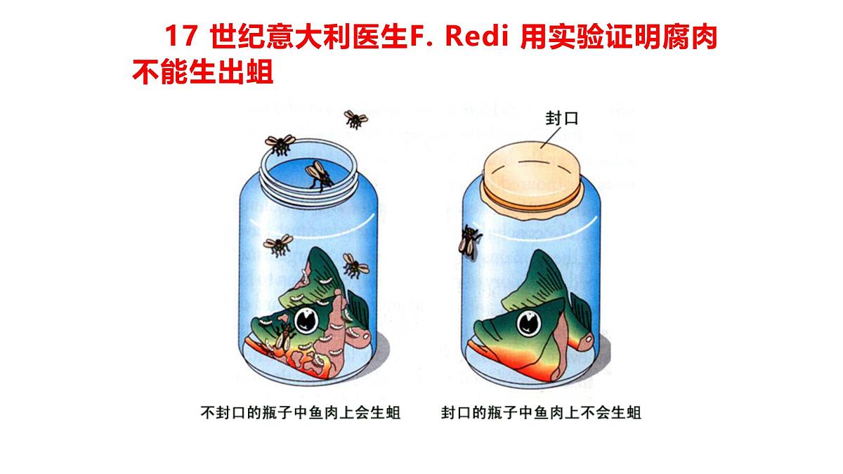 2025年春冀少版生物八年级下册上课课件 6.3.1 生命的起源第7页