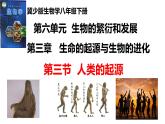 2025年春冀少版生物八年級下冊上課課件 6.3.3 人類的起源