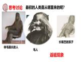 2025年春冀少版生物八年級下冊上課課件 6.3.3 人類的起源