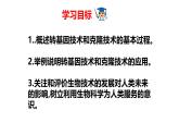 2025年春冀少版生物八年級下冊上課課件 6.4 現(xiàn)代生物技術(shù)