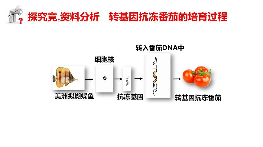 2025年春冀少版生物八年级下册上课课件 6.4 现代生物技术第4页