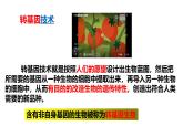 2025年春冀少版生物八年級下冊上課課件 6.4 現(xiàn)代生物技術(shù)