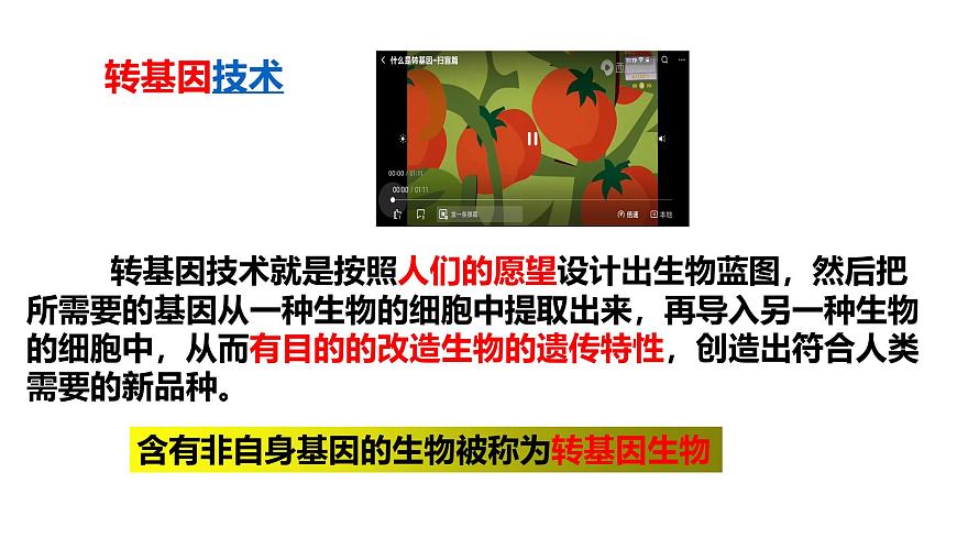 2025年春冀少版生物八年级下册上课课件 6.4 现代生物技术第5页
