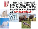 2025年春冀少版生物八年級(jí)下冊(cè)上課課件 7.1.2 生物對(duì)環(huán)境的適應(yīng)和影響