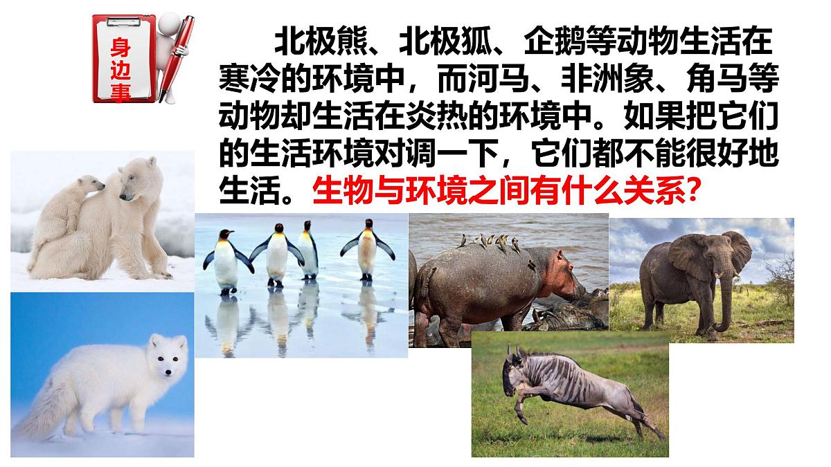 2025年春冀少版生物八年级下册上课课件 7.1.2 生物对环境的适应和影响第2页