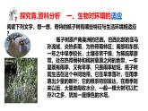 2025年春冀少版生物八年級(jí)下冊(cè)上課課件 7.1.2 生物對(duì)環(huán)境的適應(yīng)和影響