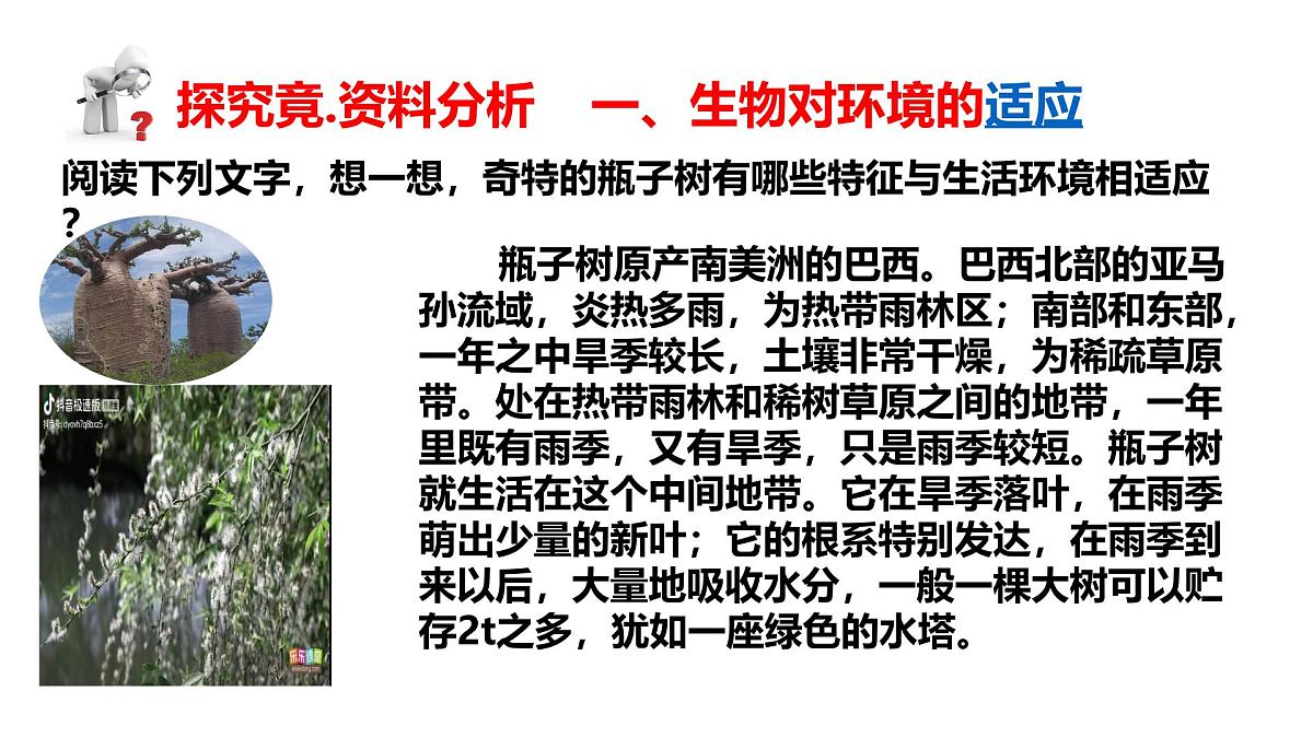 2025年春冀少版生物八年级下册上课课件 7.1.2 生物对环境的适应和影响第4页