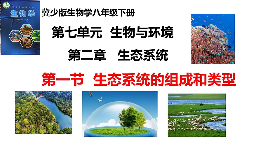 2025年春冀少版生物八年级下册上课课件 7.2.1 生态系统的组成和类型第1页