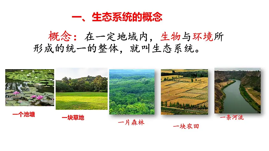 2025年春冀少版生物八年级下册上课课件 7.2.1 生态系统的组成和类型第4页