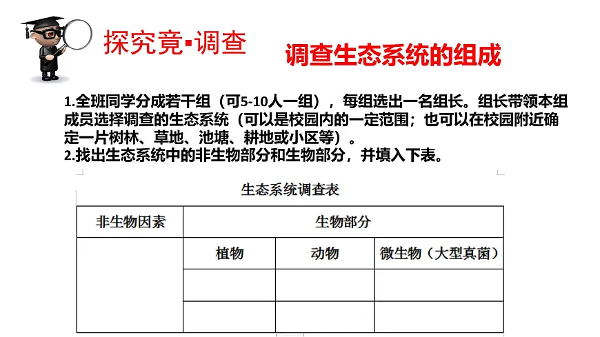 2025年春冀少版生物八年级下册上课课件 7.2.1 生态系统的组成和类型第5页