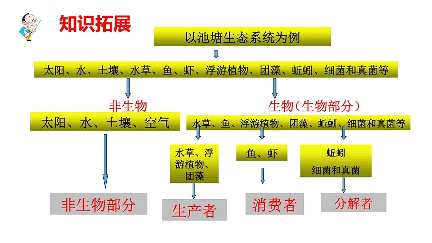 2025年春冀少版生物八年级下册上课课件 7.2.1 生态系统的组成和类型第7页