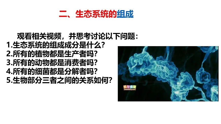 2025年春冀少版生物八年级下册上课课件 7.2.1 生态系统的组成和类型第8页