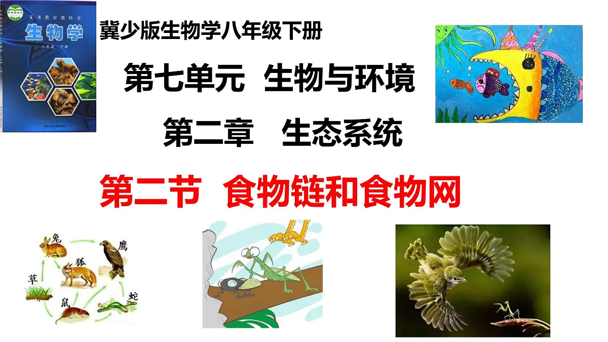 2025年春冀少版生物八年级下册上课课件 7.2.2 食物链和食物网第1页