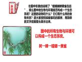 2025年春冀少版生物八年級下冊上課課件 7.2.2 食物鏈和食物網(wǎng)