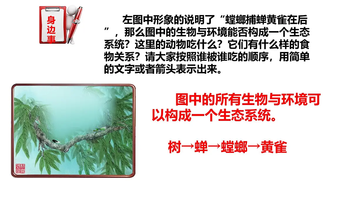 2025年春冀少版生物八年级下册上课课件 7.2.2 食物链和食物网第2页