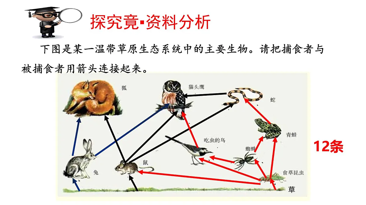2025年春冀少版生物八年级下册上课课件 7.2.2 食物链和食物网第5页