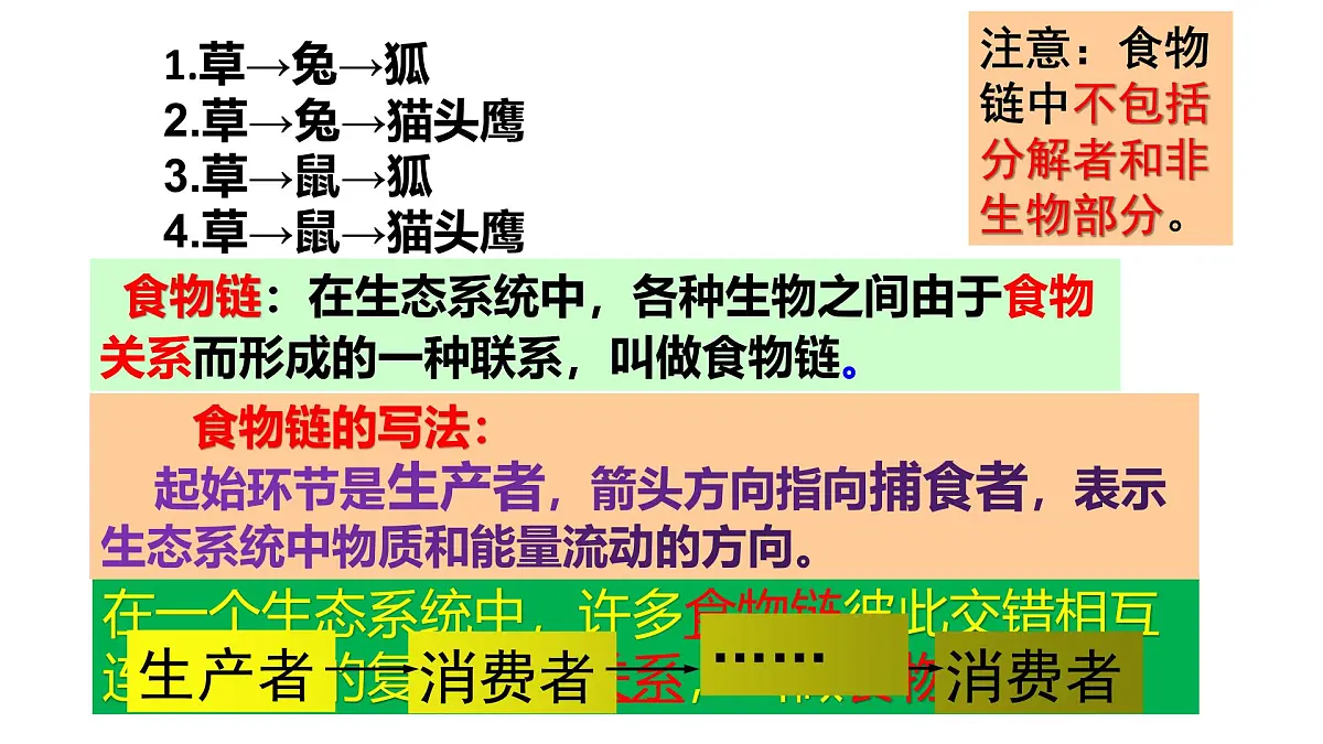 2025年春冀少版生物八年级下册上课课件 7.2.2 食物链和食物网第6页
