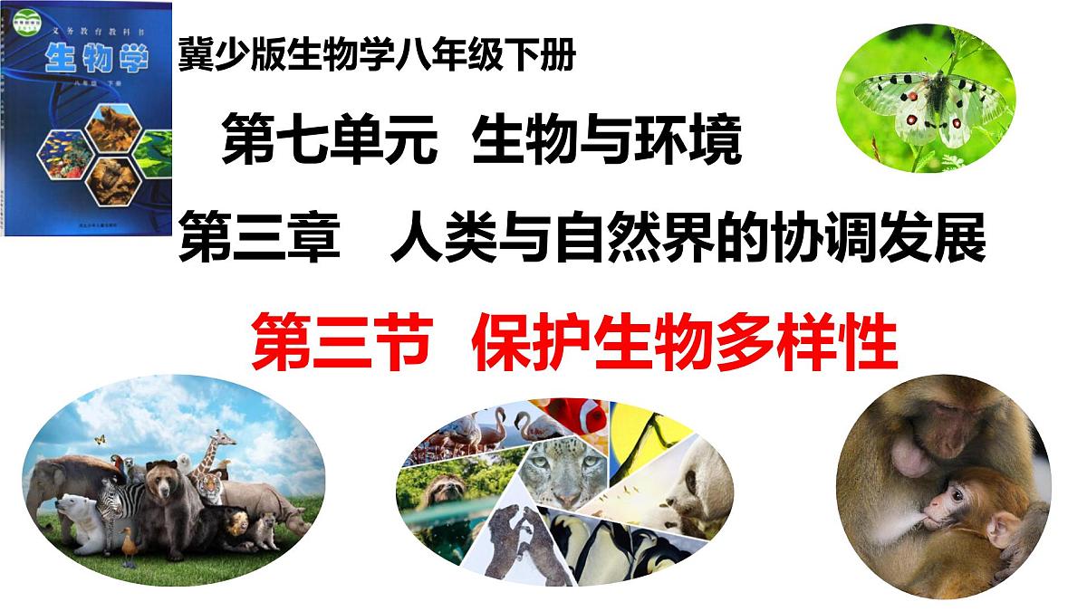 2025年春冀少版生物八年级下册上课课件 7.3.2 保护生物多样性第1页