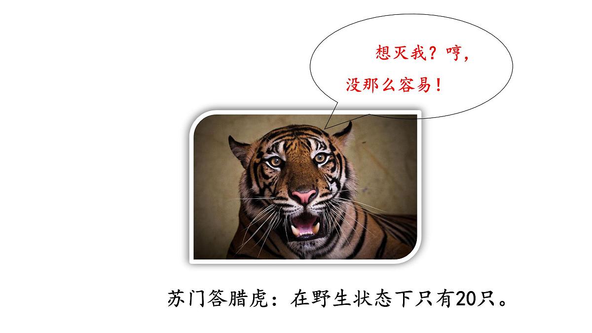2025年春冀少版生物八年级下册上课课件 7.3.2 保护生物多样性第6页