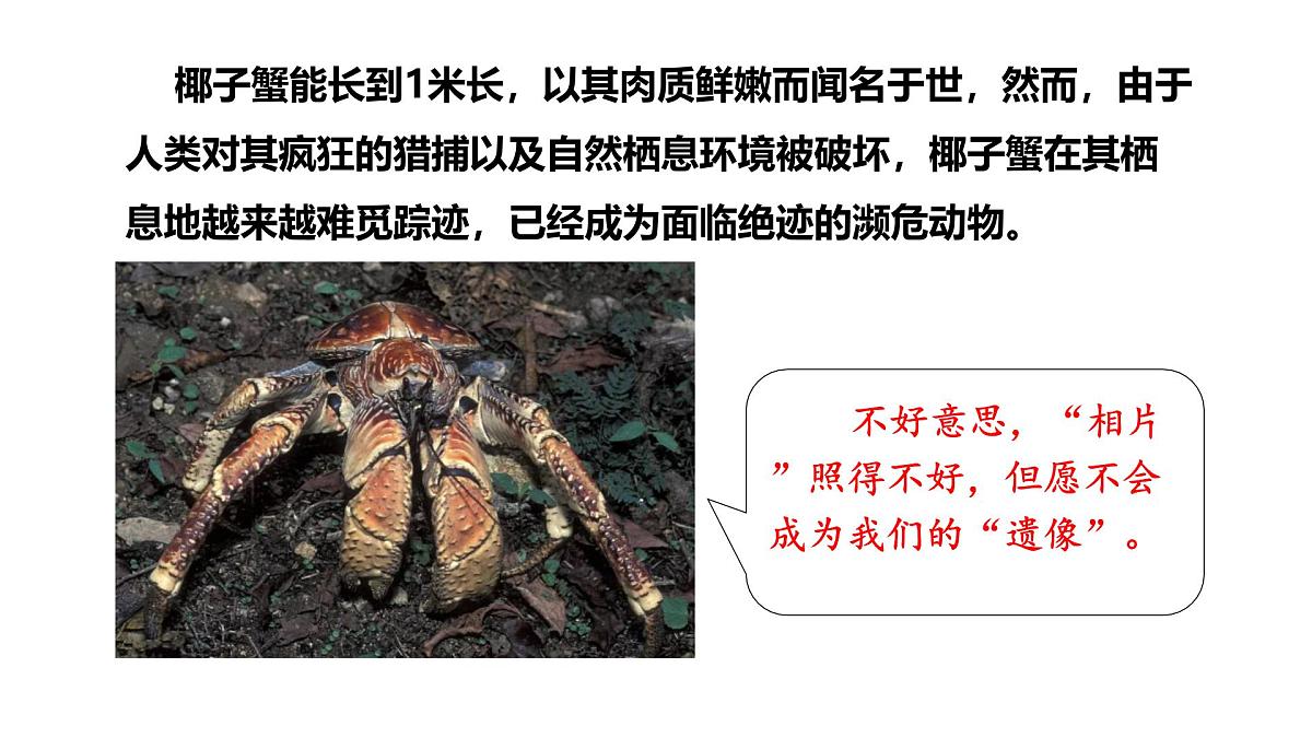 2025年春冀少版生物八年级下册上课课件 7.3.2 保护生物多样性第7页