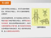 2025年春人教版生物八年級下冊上課課件 第七單元第三章第三節(jié)