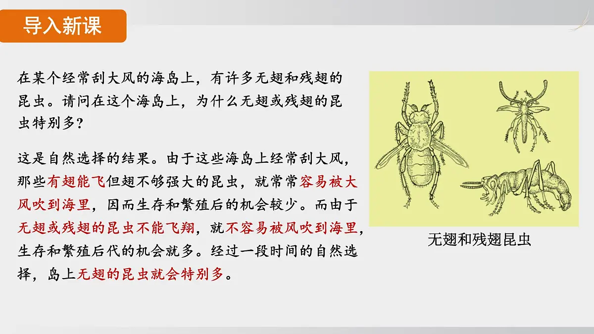 2025年春人教版生物八年级下册上课课件 第七单元第三章第三节第3页