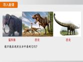 2025年春人教版生物八年級下冊上課課件 第七單元第三章第三節(jié)