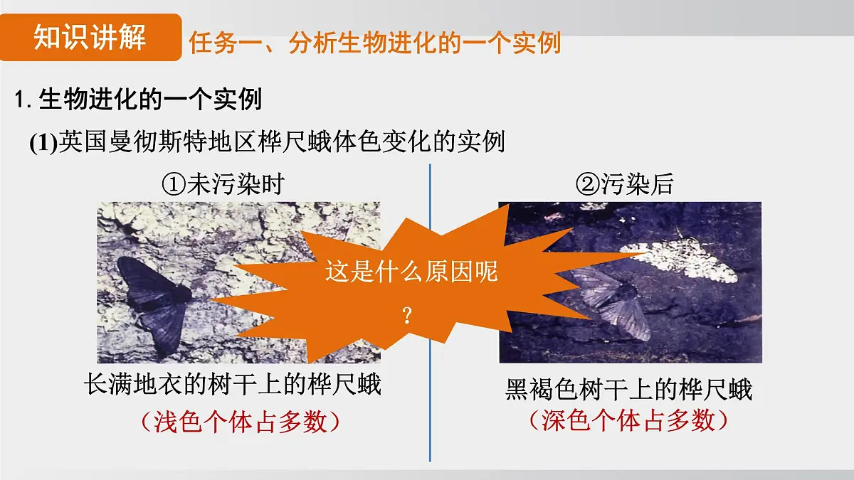 2025年春人教版生物八年级下册上课课件 第七单元第三章第三节第6页
