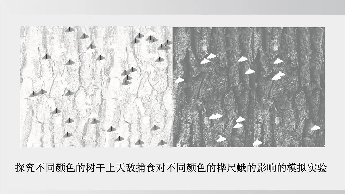 2025年春人教版生物八年级下册上课课件 第七单元第三章第三节第7页
