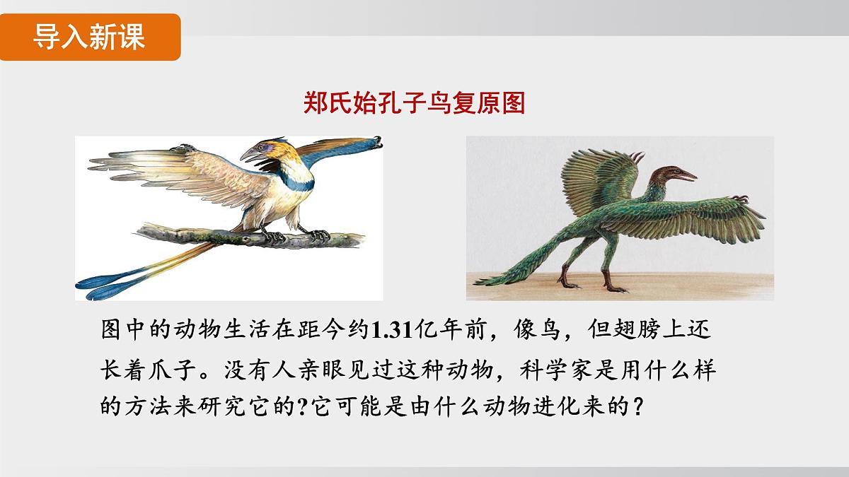 2025年春人教版生物八年级下册上课课件 第七单元第三章第二节第3页