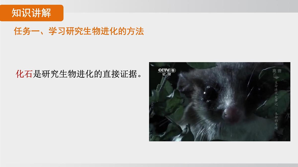 2025年春人教版生物八年级下册上课课件 第七单元第三章第二节第6页