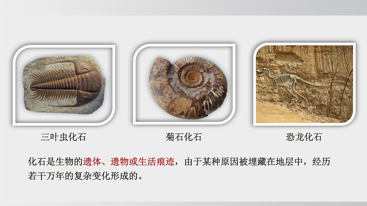 2025年春人教版生物八年级下册上课课件 第七单元第三章第二节第7页