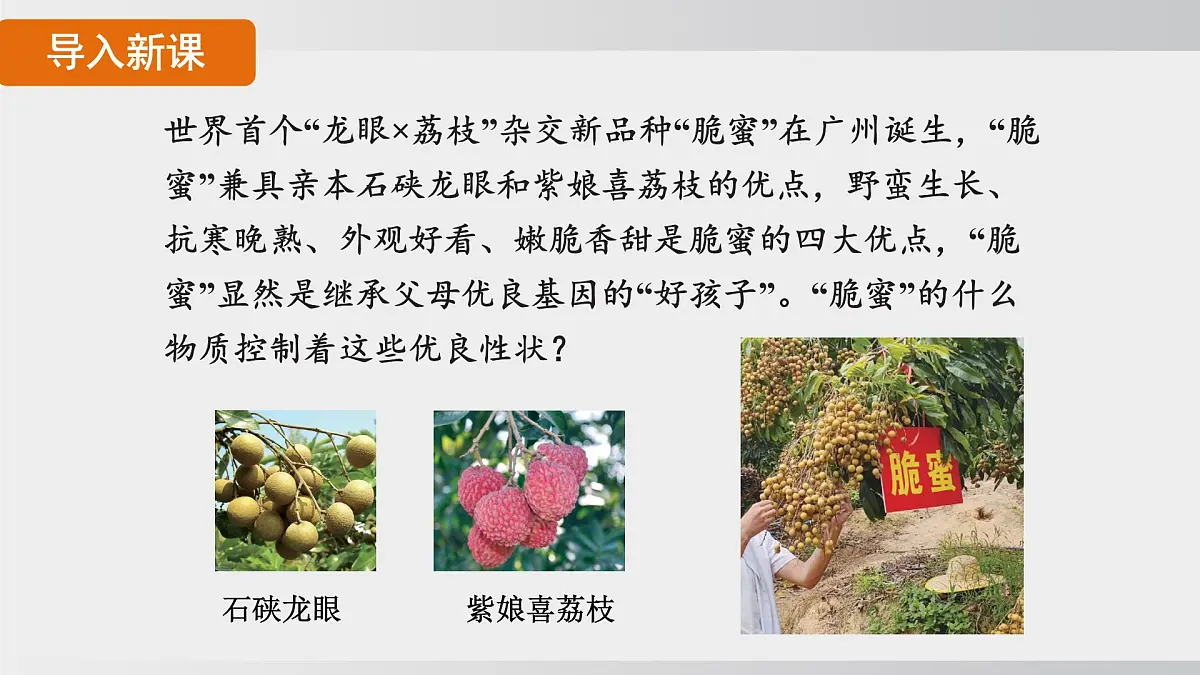 2025年春人教版生物八年级下册上课课件 第七单元第二章第一节第4页