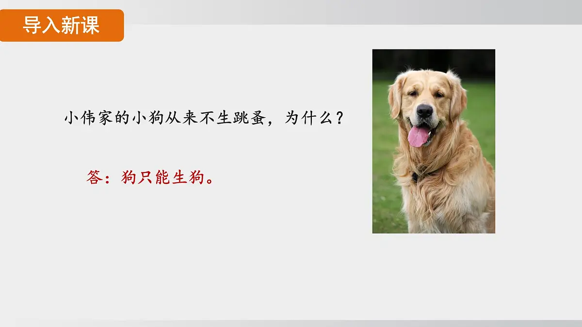 2025年春人教版生物八年级下册上课课件 第七单元第二章第一节第5页