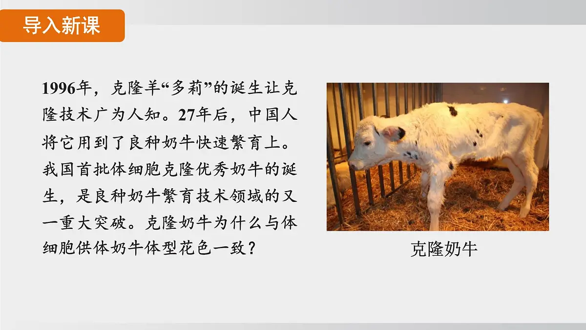 2025年春人教版生物八年级下册上课课件 第七单元第二章第一节第6页