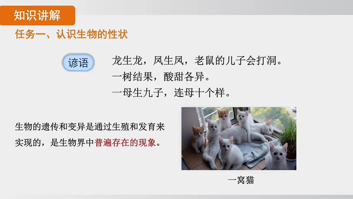2025年春人教版生物八年级下册上课课件 第七单元第二章第一节第7页