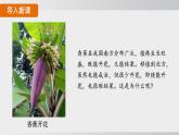 2025年春人教版生物八年級下冊上課課件 第七單元第二章第五節(jié)