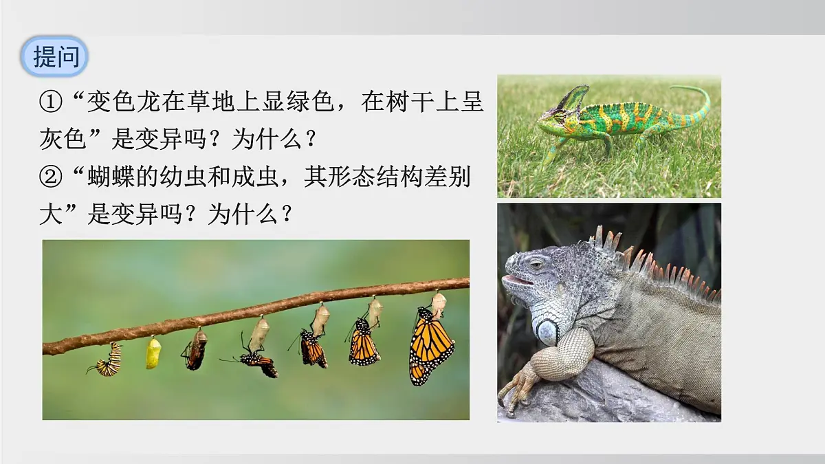 2025年春人教版生物八年级下册上课课件 第七单元第二章第五节第8页